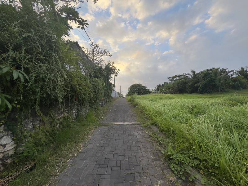 Prime Land For Sale in Nyanyi, Tabanan