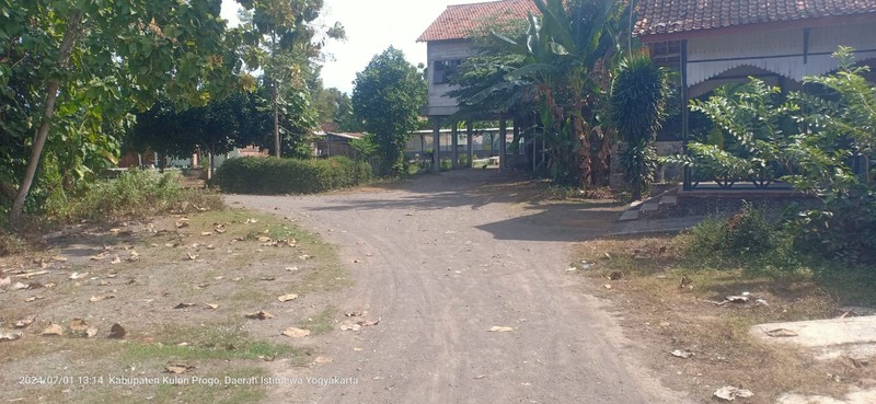 Tanah di Pengasih Wates, Kulon Progo-Jawa Tengah.