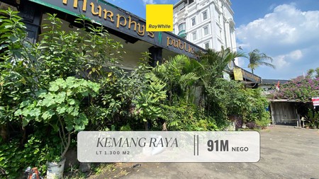 Dijual Cepat! Tempat Usaha Super Luas di Pinggir Jalan Kemang Raya (PRIME AREA)