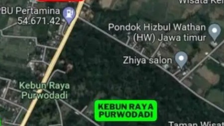 Dijual 1552 m2 Tanah dan Bangunan Usaha Minimarket Cafe Komersial dekat Kebun Raya Purwodadi - Pasuruan - Jawa Timur - Tanah Berpaving FULL - cocok buat Segala Usaha - Parkiran Luas - SHM