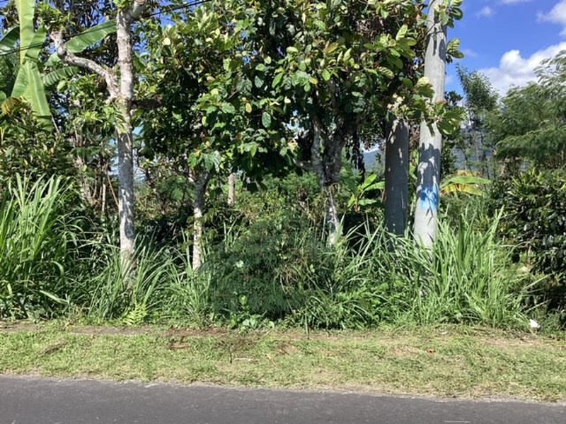 Land Freehold Main Road Kintamani Bali