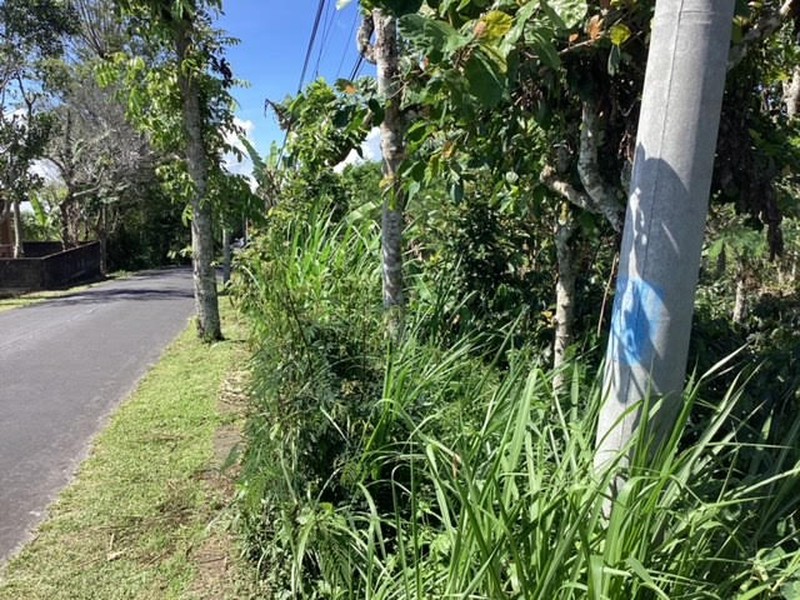 Land Freehold Main Road Kintamani Bali