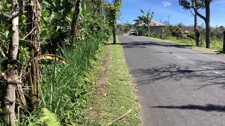 Land Freehold Main Road Kintamani Bali