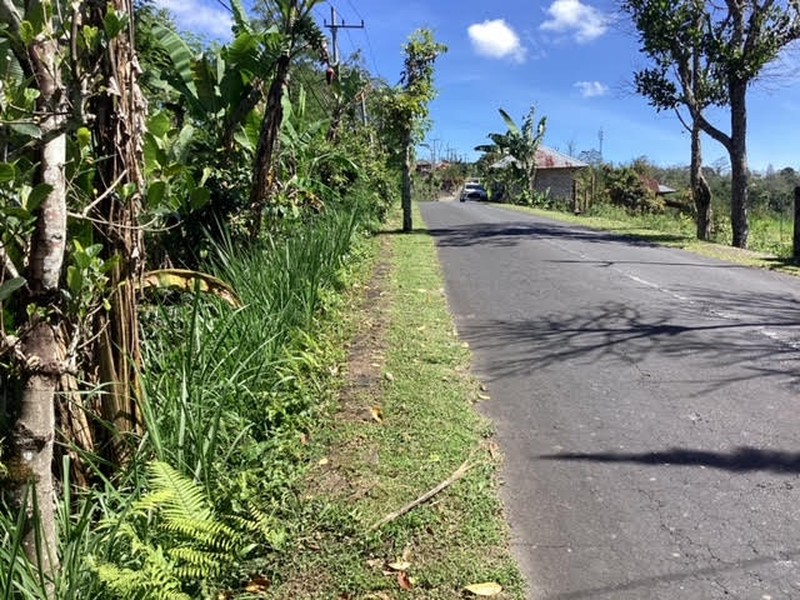 Land Freehold Main Road Kintamani Bali