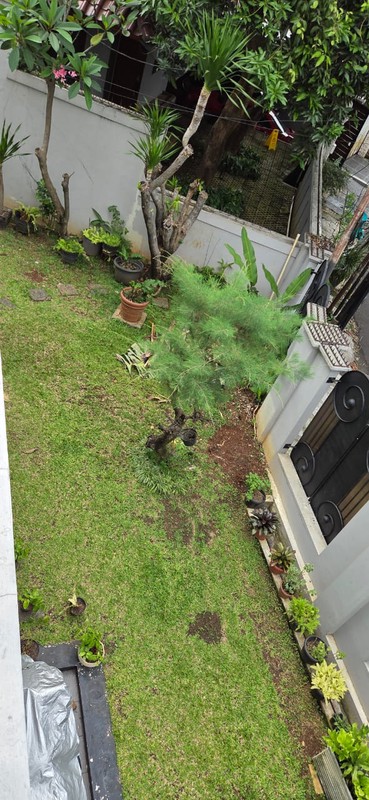 Rumah Mewah di Radio Dalam dekat dg PIM dan Blok M Jakarta Selatan...