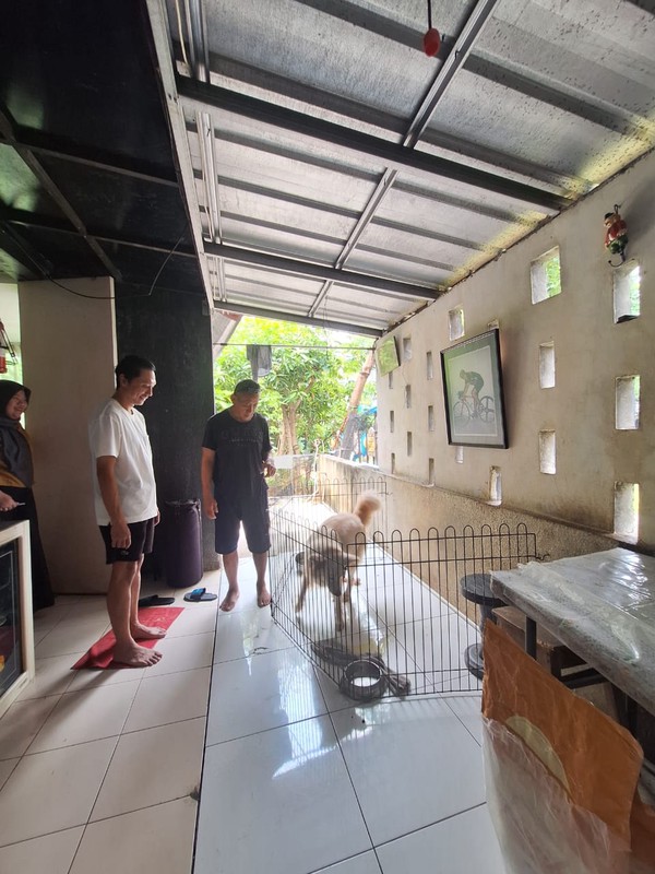 Rumah Bagus Di Ozone Residence Veteran Bintaro Jakarta Selatan