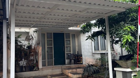 CARRIBEAN ISLAND DELATINOS FOR SALE DIJUAL