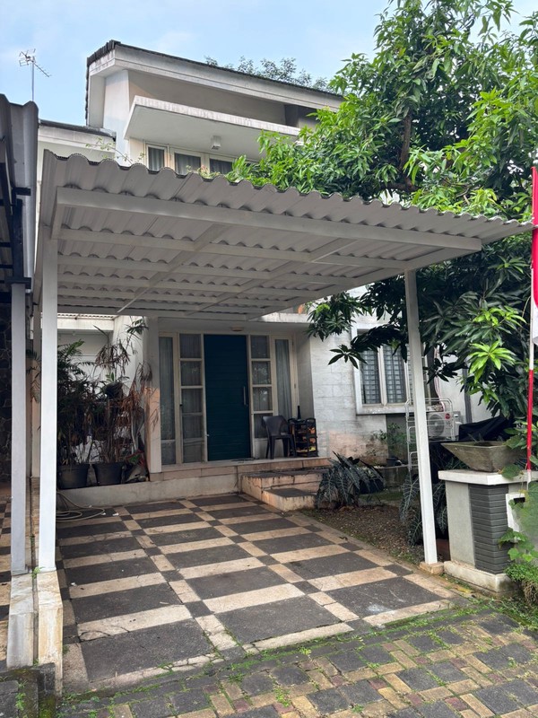 CARRIBEAN ISLAND DELATINOS FOR SALE DIJUAL