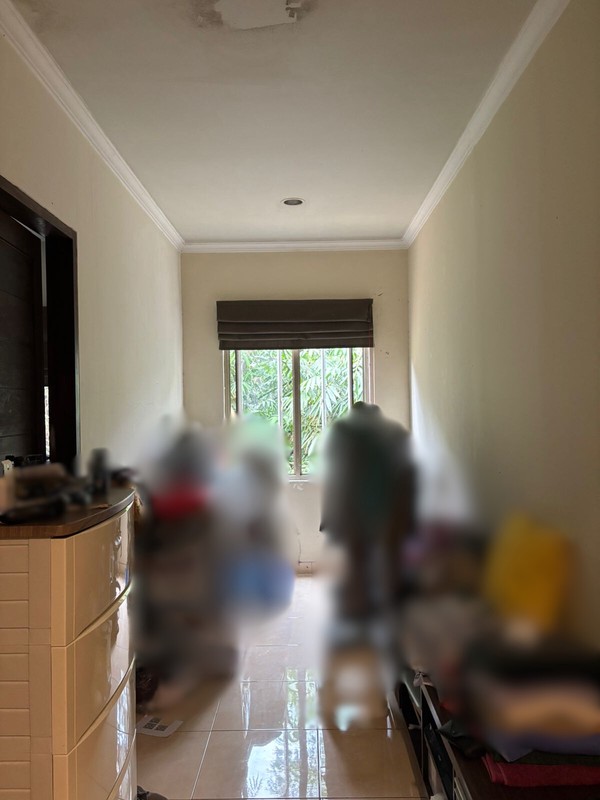 CARRIBEAN ISLAND DELATINOS FOR SALE DIJUAL