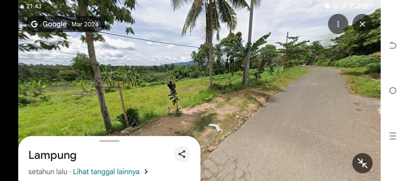 Dijual tanah murah luas 1,6 hektar di kaliasin, tanjung bintang Lamsel