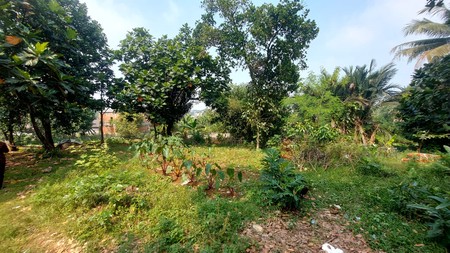 Dijual Tanah Darat siap bangun cocok utk Mini Cluster, Kost2an, Kontrakan di Tanah Sareal - Bogor