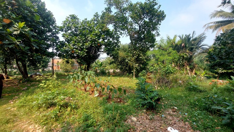 Dijual Tanah Darat siap bangun cocok utk Mini Cluster, Kost2an, Kontrakan di Tanah Sareal - Bogor
