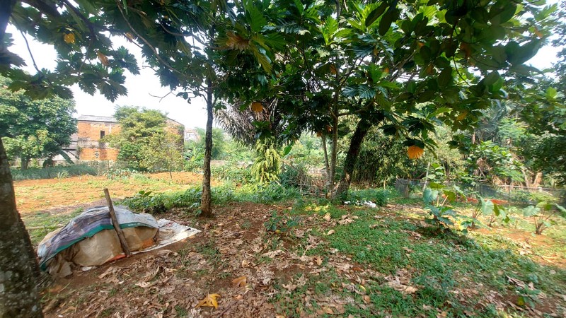 Dijual Tanah Darat siap bangun cocok utk Mini Cluster, Kost2an, Kontrakan di Tanah Sareal - Bogor