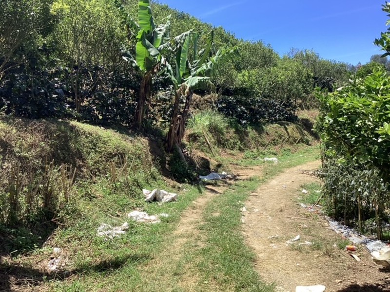 Land Freehold Expansive Countryside Kintamani Bali