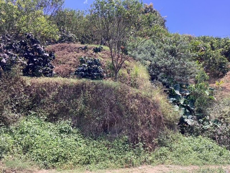 Land Freehold Expansive Countryside Kintamani Bali