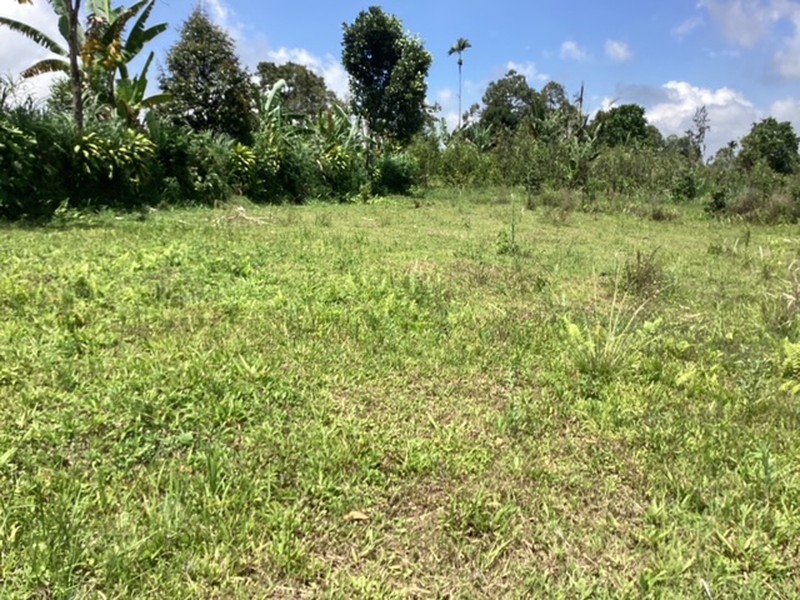 Land Freehold 16000 sqm In Kintamani Bali