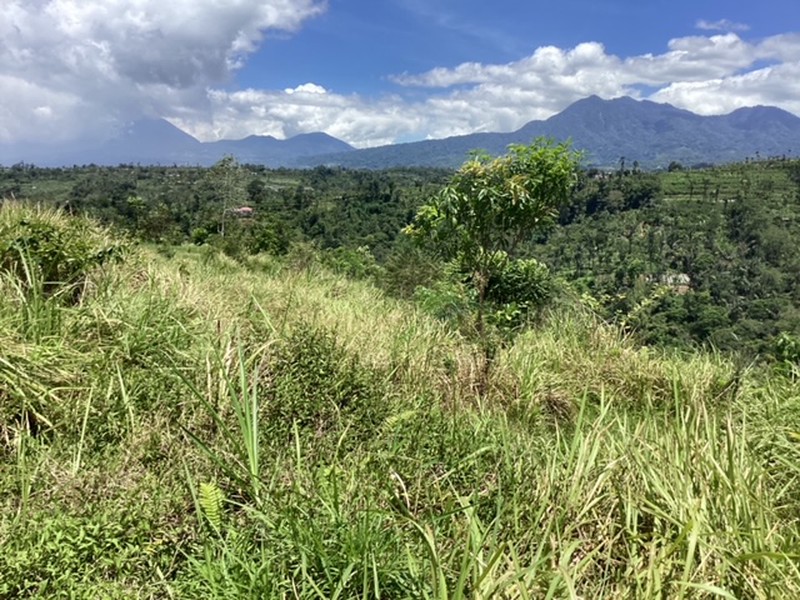Land Freehold 16000 sqm In Kintamani Bali