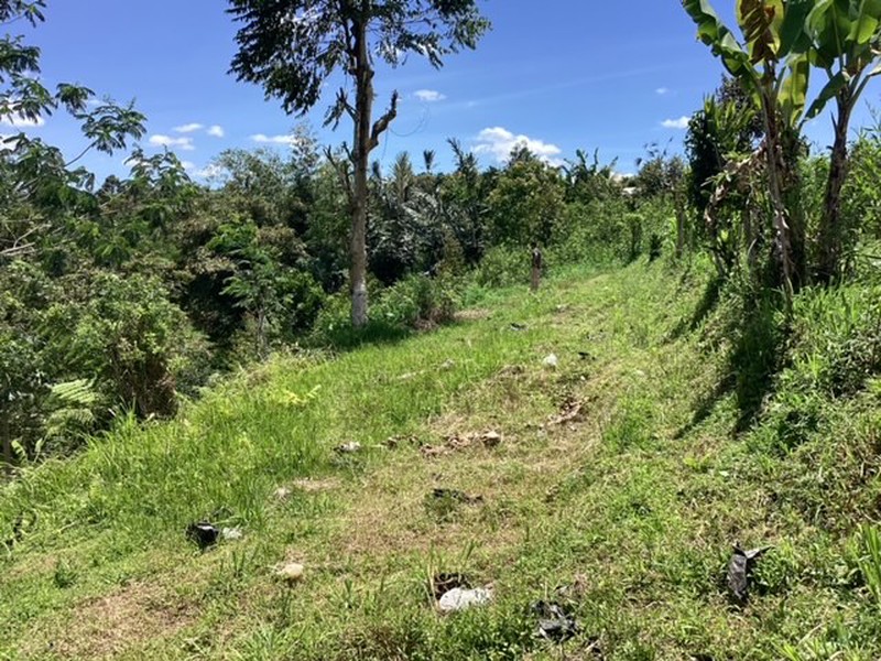 Land Freehold 16000 sqm In Kintamani Bali