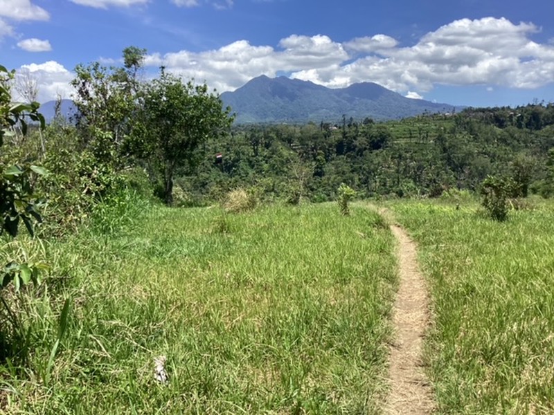 Land Freehold 16000 sqm In Kintamani Bali