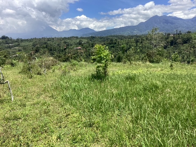 Land Freehold 16000 sqm In Kintamani Bali
