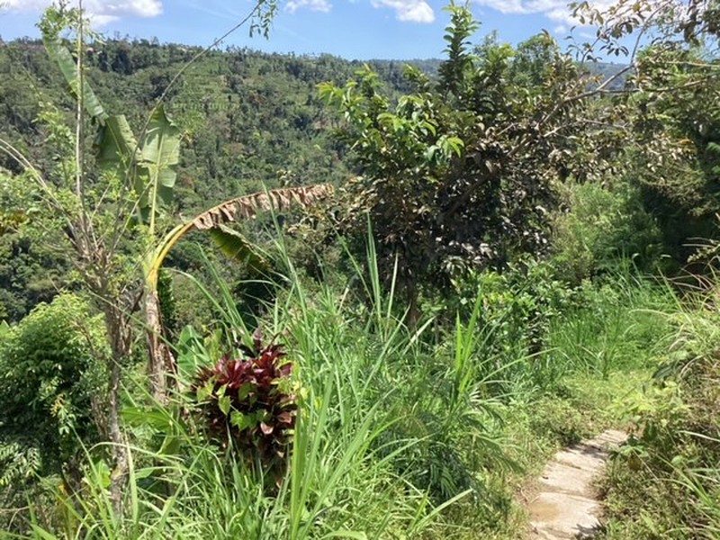 Land Freehold 16000 sqm In Kintamani Bali