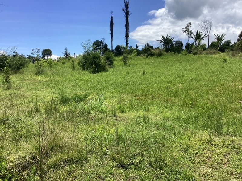 Land Freehold 16000 sqm In Kintamani Bali