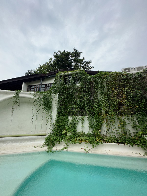Leasehold - Stylish 8-Unit Villa Complex - Top Investment in Canggu, Bali