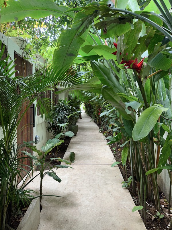 Leasehold - Stylish 8-Unit Villa Complex - Top Investment in Canggu, Bali