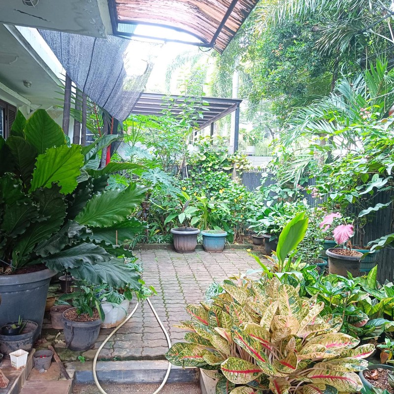 Dijual Rumah Siap Huni Jl. Hangjebat, Kebayoran Baru, Jakarta Selatan