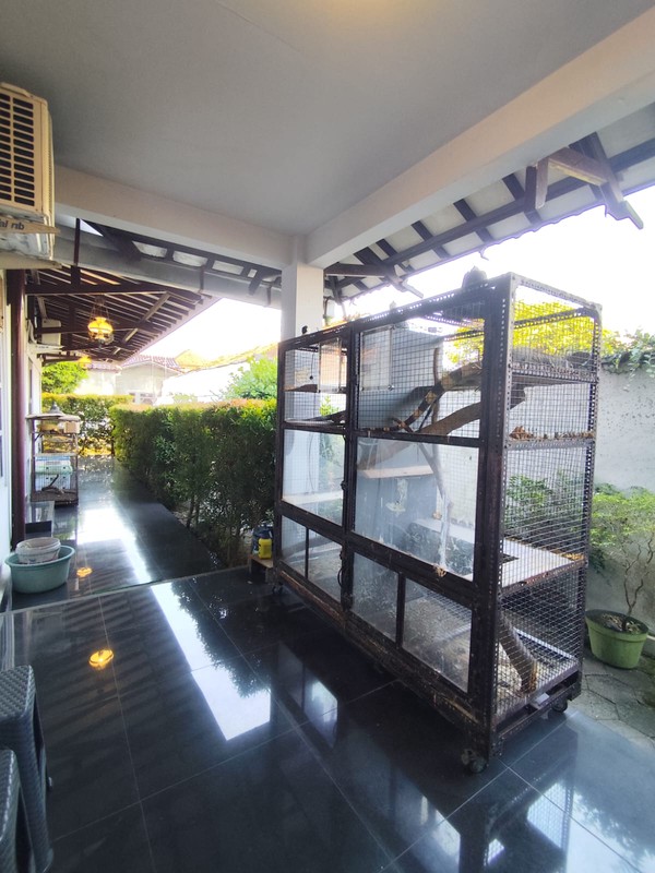 Rumah Tinggal Cocok Untuk Homestay Di Area Kraton Yogyakarta