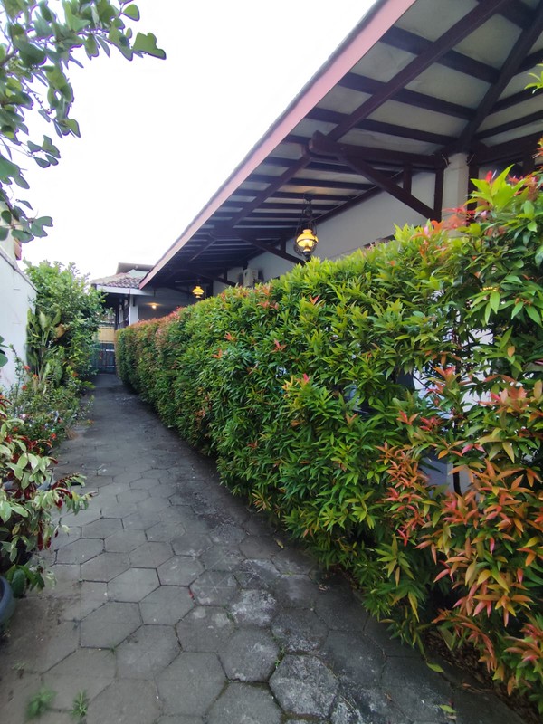 Rumah Tinggal Cocok Untuk Homestay Di Area Kraton Yogyakarta