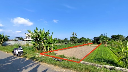 Investasi Tanah Sawah 1249 Meter Persegi, Lokasi Dekat Pasar Cebongan