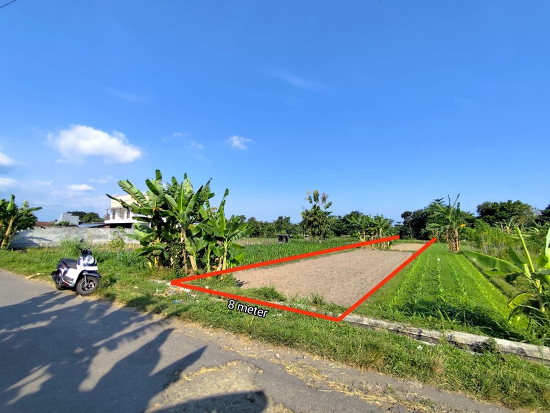 Investasi Tanah Sawah 1249 Meter Persegi, Lokasi Dekat Pasar Cebongan