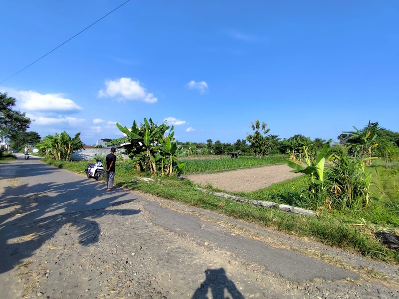 Investasi Tanah Sawah 1249 Meter Persegi, Lokasi Dekat Pasar Cebongan