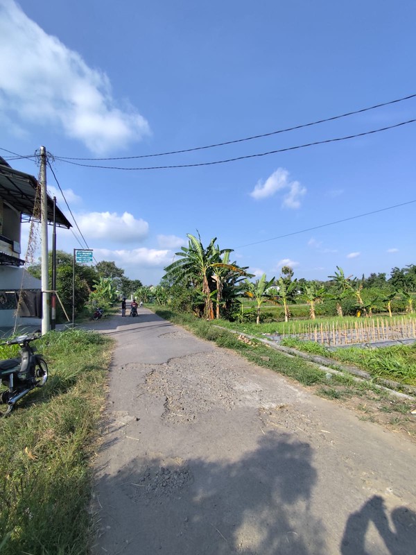 Investasi Tanah Sawah 494 Meter Persegi, Lokasi Dekat Pasar Cebongan