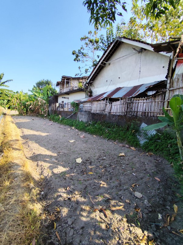 Investasi Tanah Sawah 494 Meter Persegi, Lokasi Dekat Pasar Cebongan