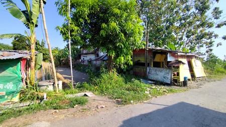 Investasi Tanah Sawah 494 Meter Persegi, Lokasi Dekat Pasar Cebongan