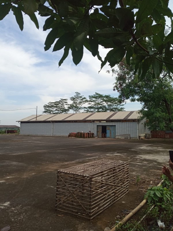 Dijual Lahan di Sadang - Subang , Cibatu, Purwakarta, Cocok dibangun Pabrik / Gudang /Perumahan