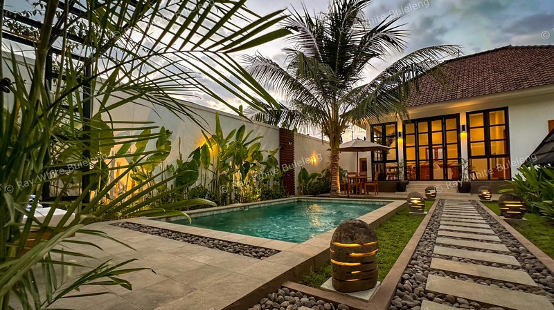 Modern Brand-New Villa in Lovina - Stylish Comfort Near the Beach