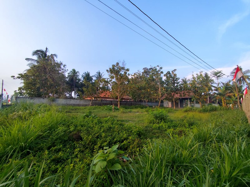 Tanah Pekarangan 1597 Meter Persegi Lokasi Dekat Jalan Wates-Purworejo Km 6, Kulon Progo
