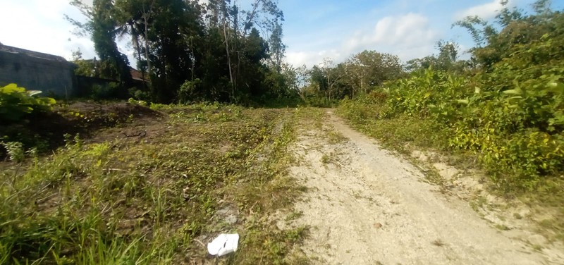Investasi Tanah 202 Meter Persegi, Lokasi Dekat Jiwajawi Jogjakarta