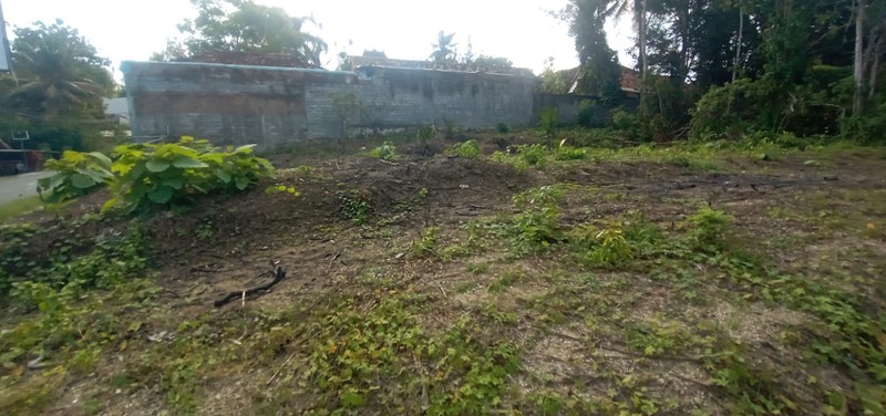 Investasi Tanah 202 Meter Persegi, Lokasi Dekat Jiwajawi Jogjakarta