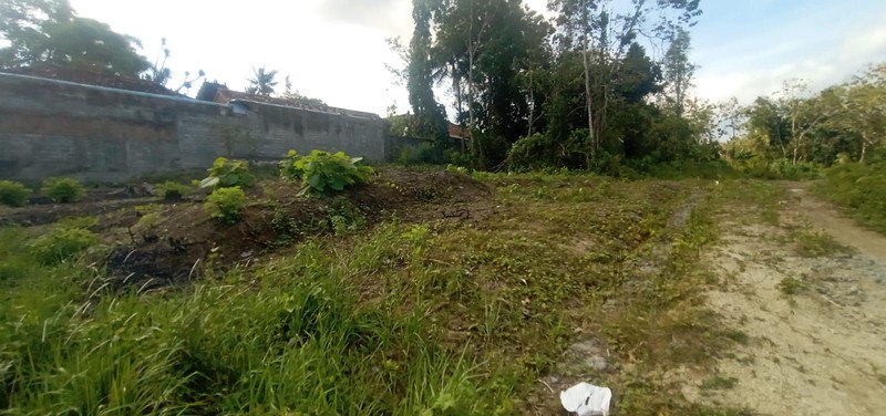 Investasi Tanah 202 Meter Persegi, Lokasi Dekat Jiwajawi Jogjakarta