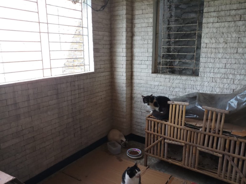 Ruko 2 Lantai Cocok Untuk Usaha Lokasi di Godean Sleman 