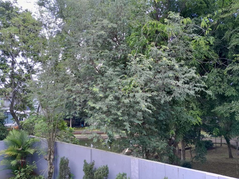 Rumah Bagus Di Kebagusan Town House Jakarta Selatan