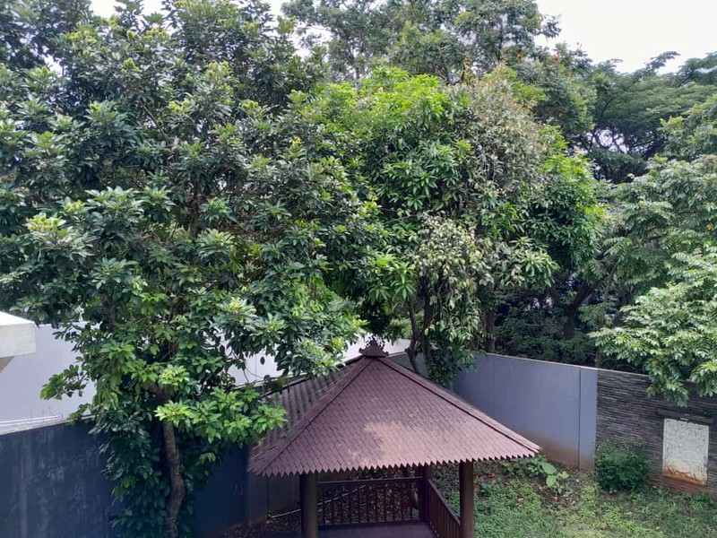 Rumah Bagus Di Kebagusan Town House Jakarta Selatan