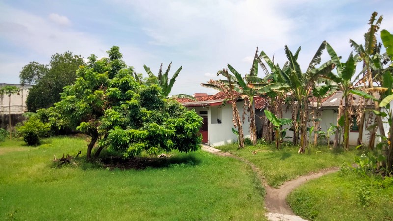 Tanah Pekarangan 1912 Bonus Bangunan Di Panggungharjo Bantul