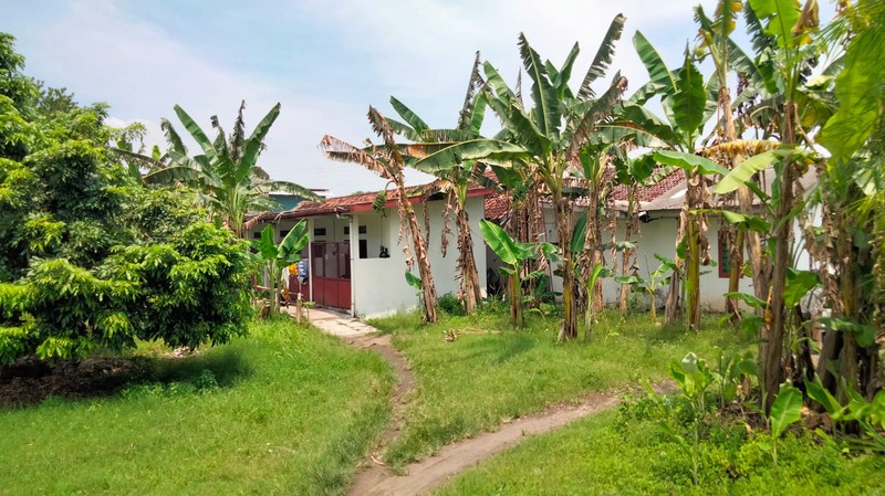 Tanah Pekarangan 1912 Bonus Bangunan Di Panggungharjo Bantul