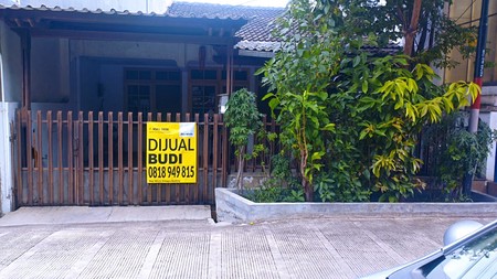 Rumah Kelapa Lilin, Kelapa Gading