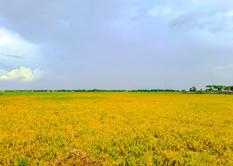 Tanah Strategis Serang Banten 